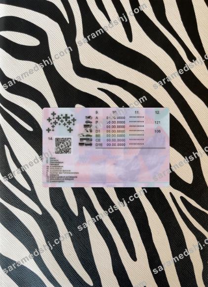 Switzerland driving license 2023-present photolook back
